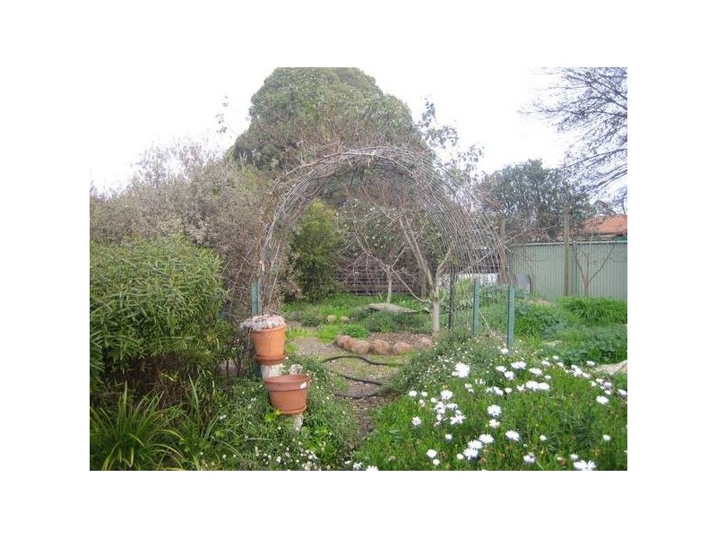 11 Sharyn Street, White Hills VIC 3550