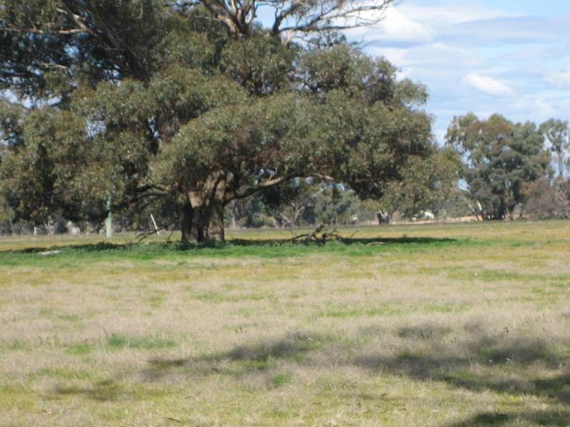 Lot 7,  Pethericks Road, Barnadown VIC 3557