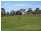246 Tannery Lane, Mandurang VIC 3551
