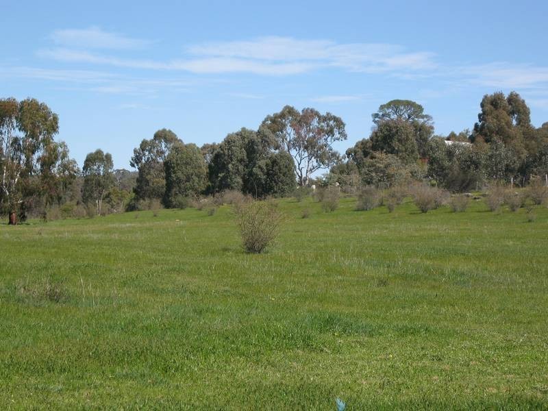 246 Tannery Lane, Mandurang VIC 3551