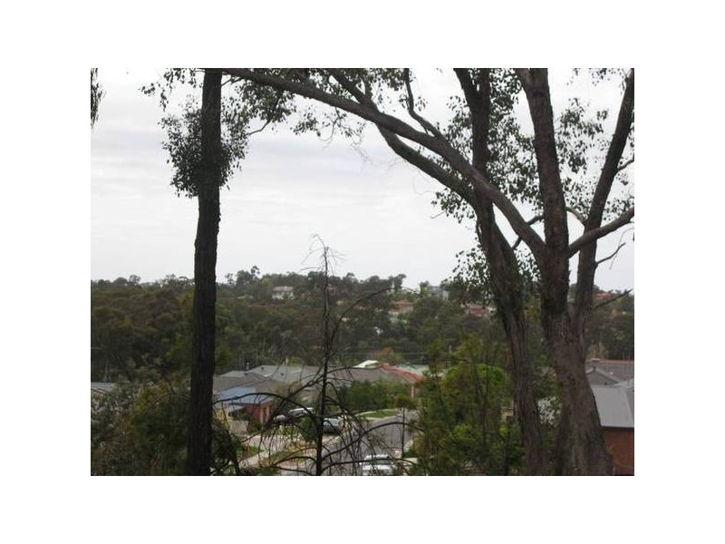 141 Edwards Road, Strathdale VIC 3550