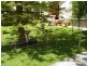 36 Steane Street, Bendigo VIC 3550