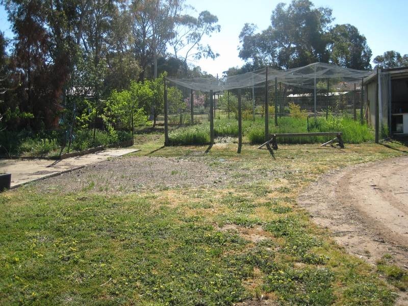 37 Kennewell Street, White Hills VIC 3550