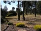 328 Sugarloaf Road, Axedale VIC 3551