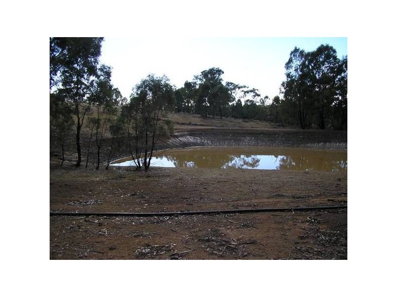 328 Sugarloaf Road, Axedale VIC 3551