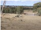 328 Sugarloaf Road, Axedale VIC 3551