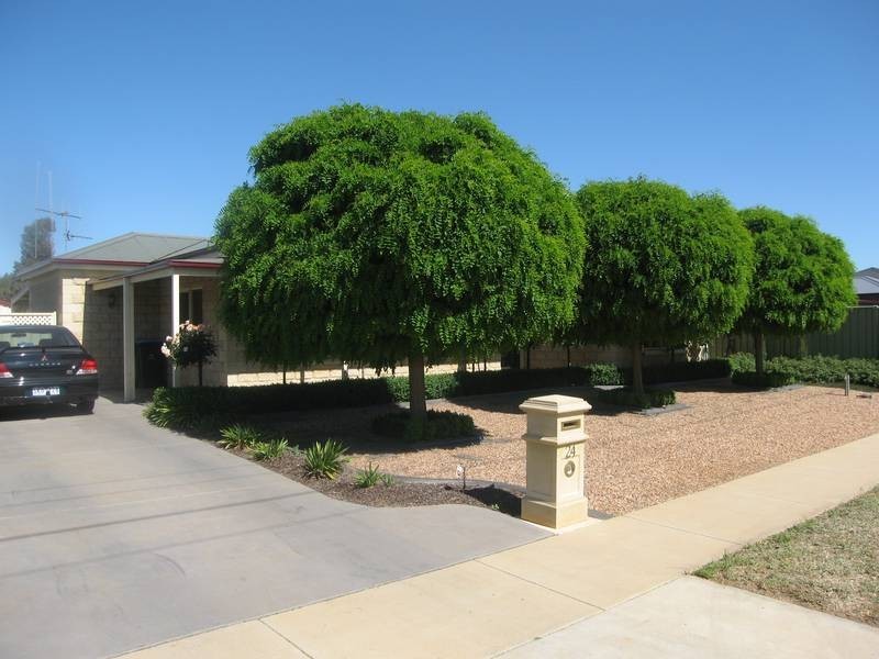 24 Kennewell Street, White Hills VIC 3550