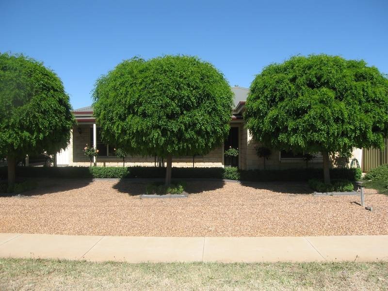 24 Kennewell Street, White Hills VIC 3550