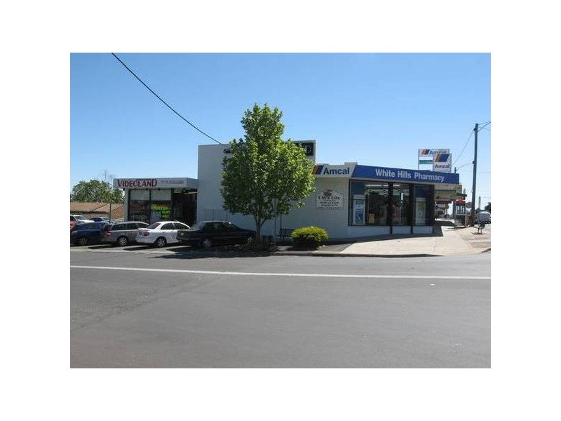 6 Plumridge Street, White Hills VIC 3550