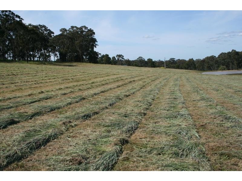 Lot 4,  South Mandurang Road, Mandurang VIC 3551