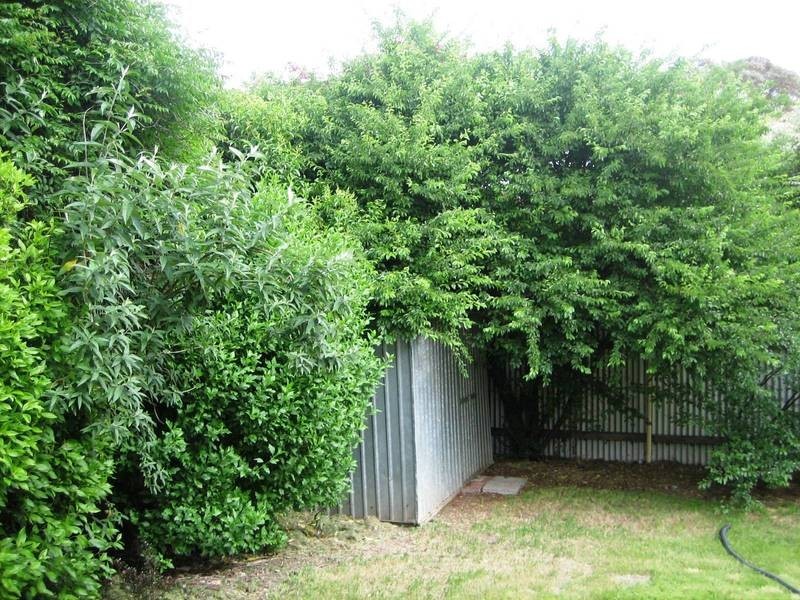 22 Myall Street, Bendigo VIC 3550