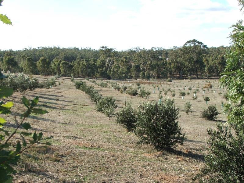 1 Doles & Mechans Road, Eppalock VIC 3551