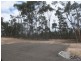 Cockatoo Drive, Junortoun VIC 3551