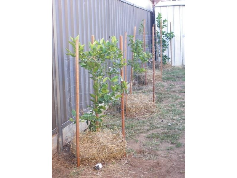 13 Prouses Road, Bendigo VIC 3550