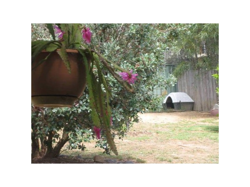 148A Retreat Road, Spring Gully VIC 3550
