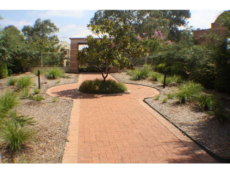 14/272a Flood Street, Leichhardt NSW 2040