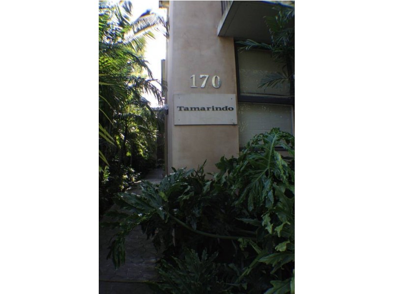 5/170 Nelson Street, Annandale NSW 2038