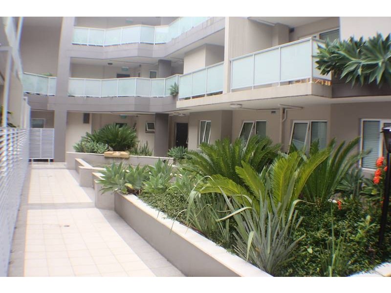 2/504 Parramatta Road, Petersham NSW 2049