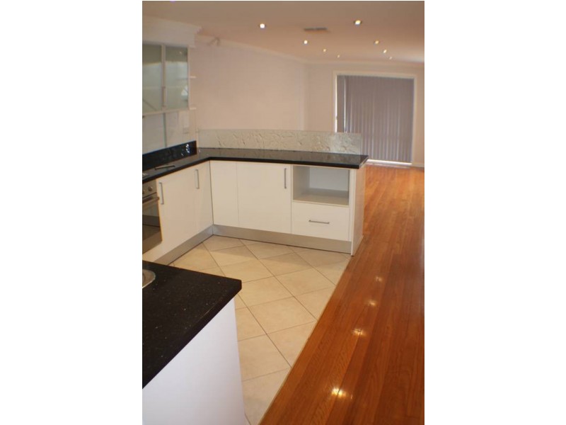 28 North Street, Leichhardt NSW 2040