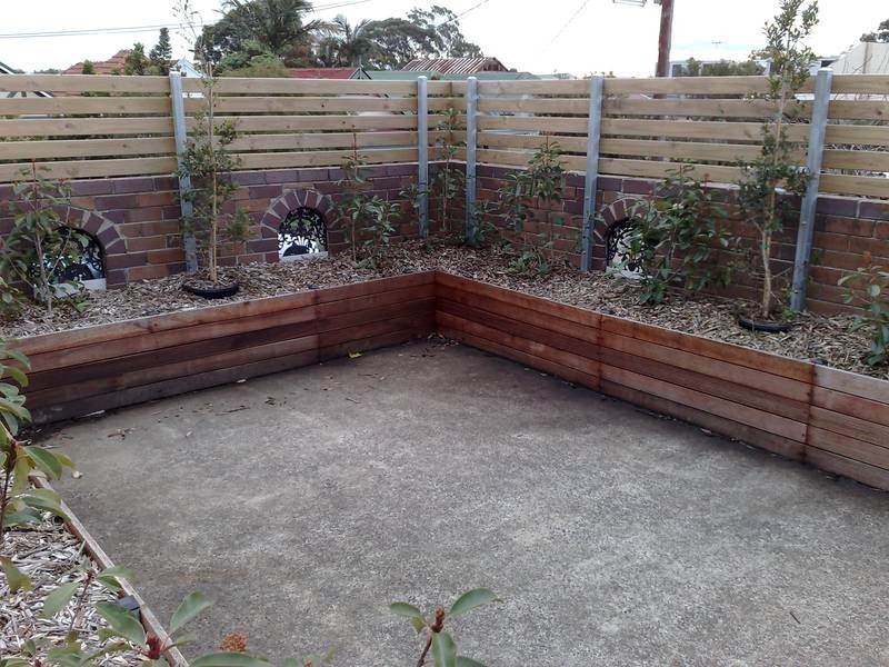 35 Albert Street, Leichhardt NSW 2040