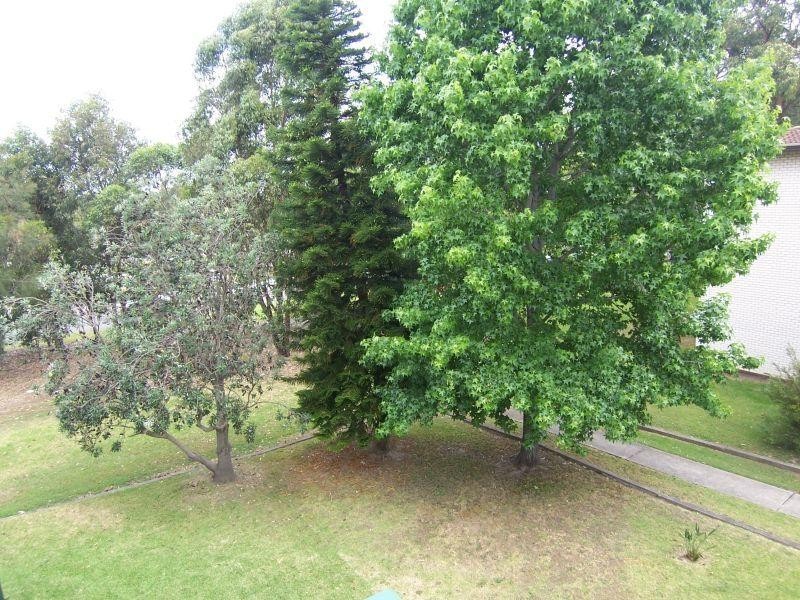 2 Corby Avenue, Concord NSW 2137