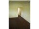28 Davies, Leichhardt NSW 2040