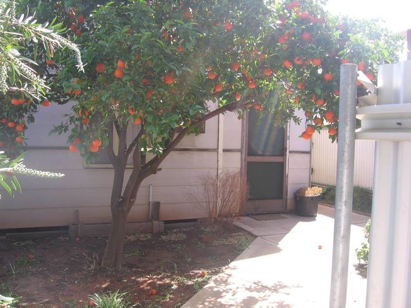 14a Cheetham Street, Kalgoorlie WA 6430