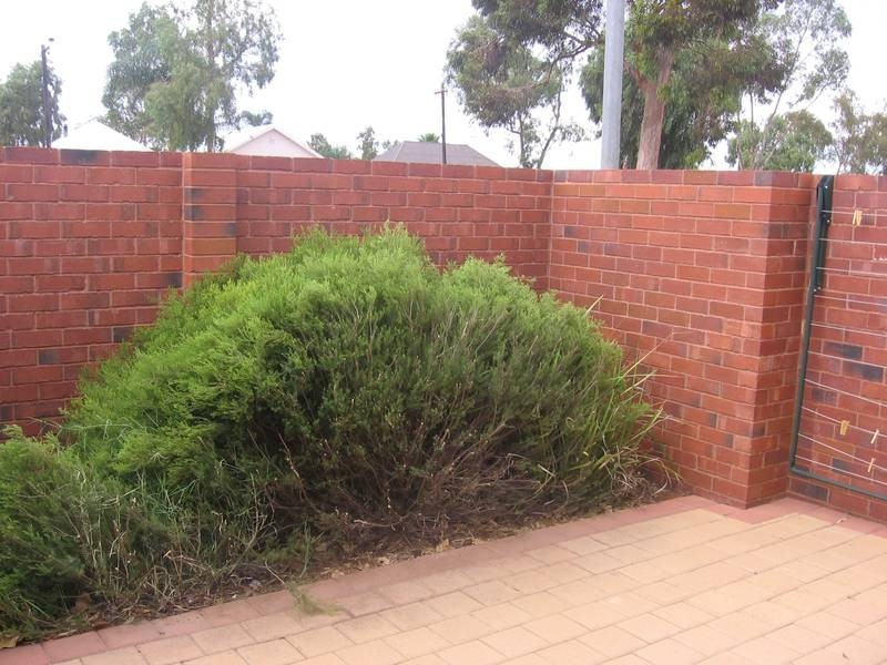 1/80 Dugan Street, Kalgoorlie WA 6430