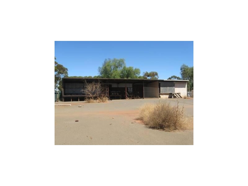 60 Wilson Street, Kalgoorlie WA 6430