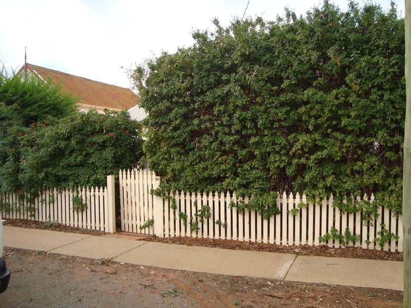 99 Collins Street, LAMINGTON, Kalgoorlie WA 6430