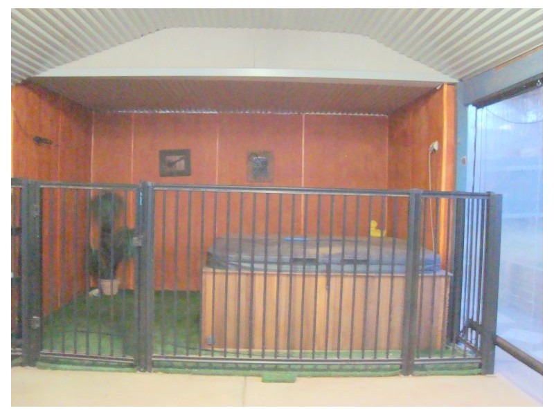 7 Kitchener Road, MULLINGAR, Kalgoorlie WA 6430