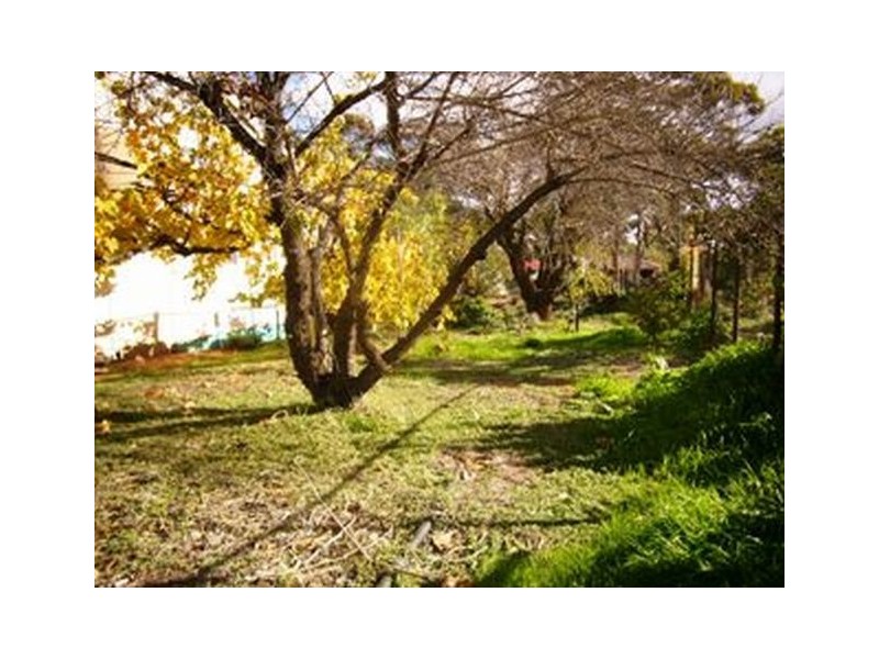 22 Roberts Street, Norseman WA 6443