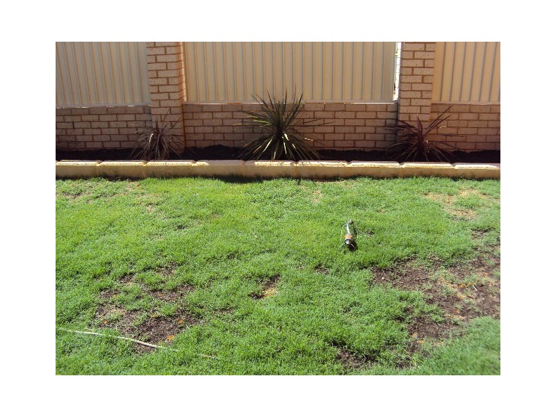 1/393 Hannan Street, Kalgoorlie WA 6430