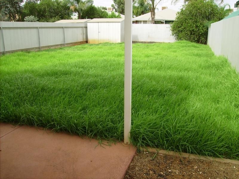 B/33 Trevaskis Street, Kalgoorlie WA 6430