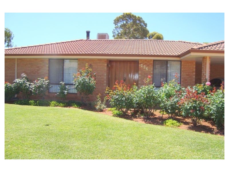 236 Hare Street WEST LAMINGTON, Kalgoorlie WA 6430