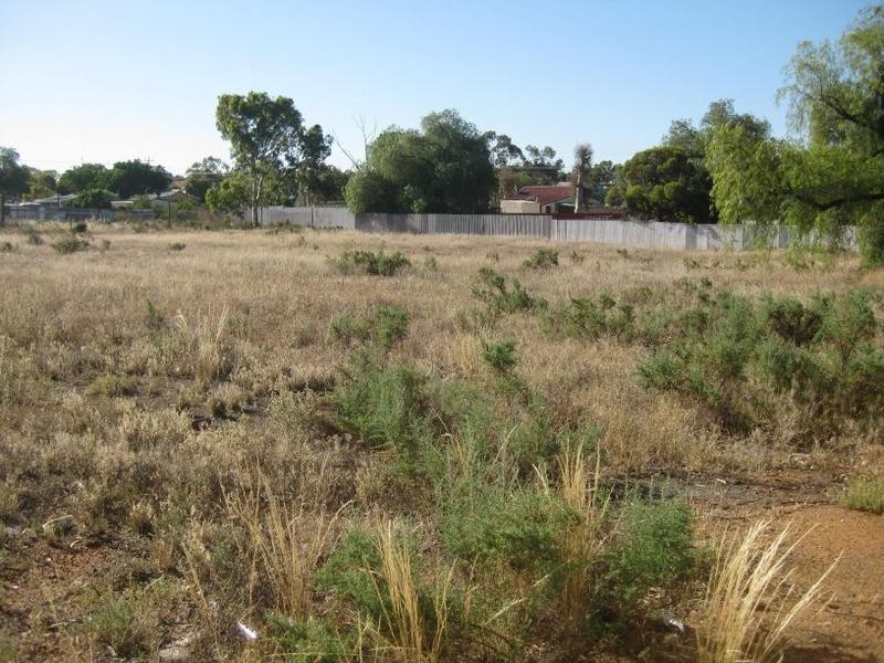 Blocks/Vacant Coolgardie, Coolgardie WA 6429
