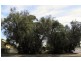 24 Federal Road, Kalgoorlie WA 6430