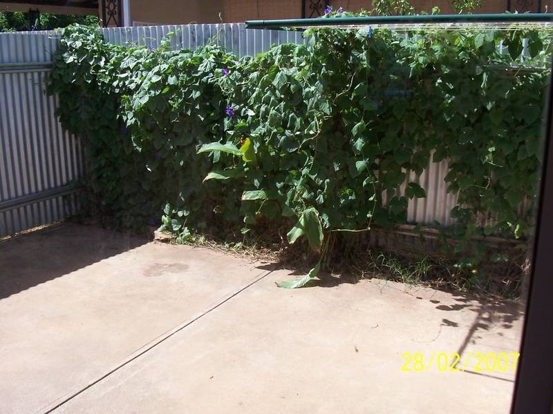 2/85 Varden Street, Kalgoorlie WA 6430