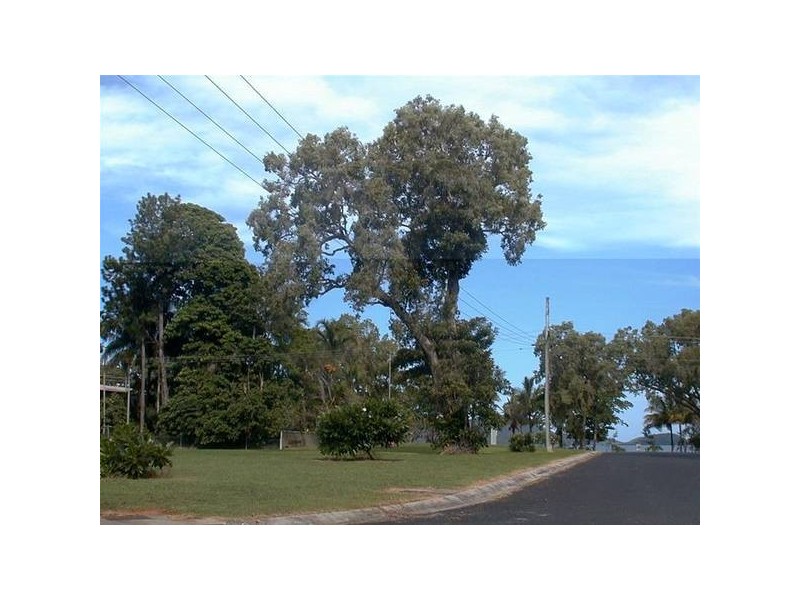 Mission Beach QLD 4852