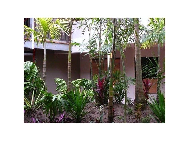 Mission Beach QLD 4852