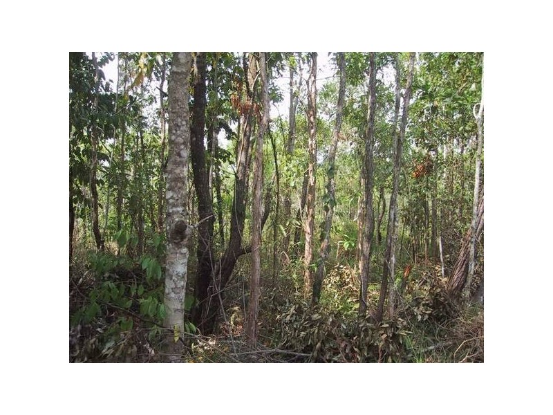 Mission Beach QLD 4852