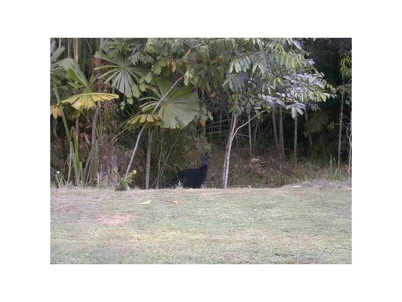 Mission Beach QLD 4852