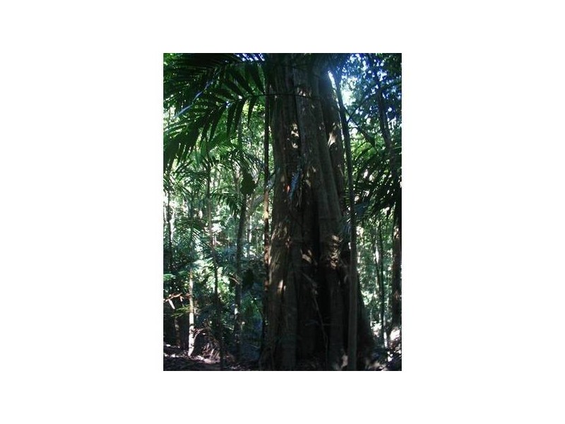 Garners Beach QLD 4852