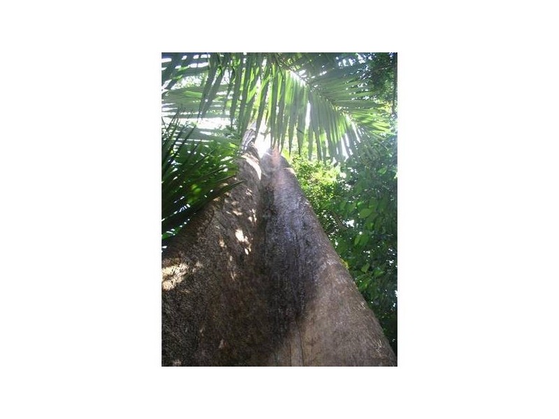 Garners Beach QLD 4852