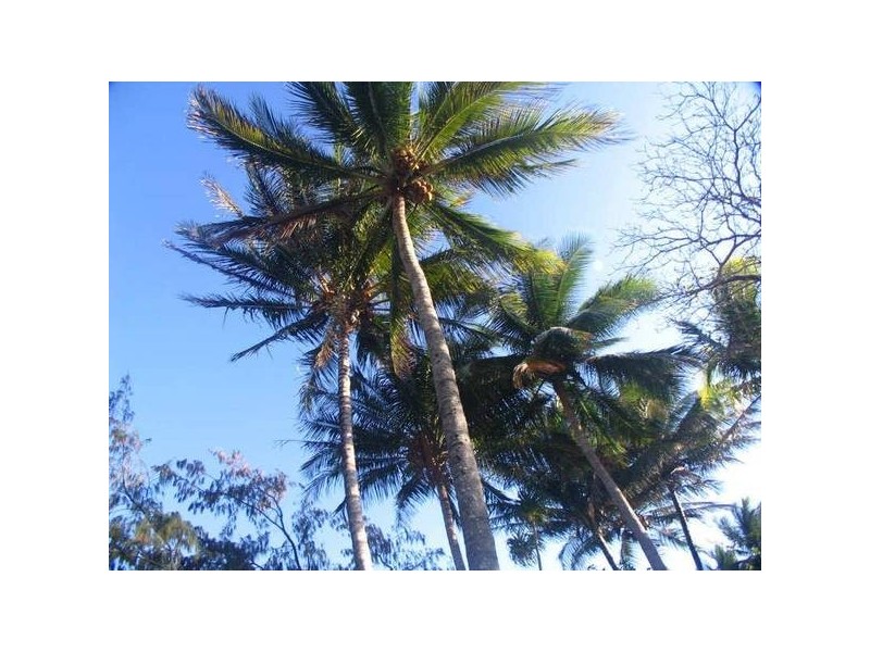 Mission Beach QLD 4852