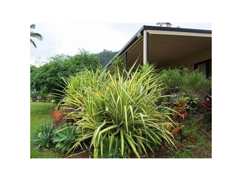 Mission Beach QLD 4852