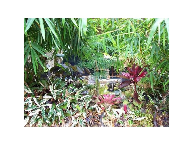 Mission Beach QLD 4852