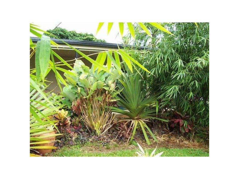 Mission Beach QLD 4852