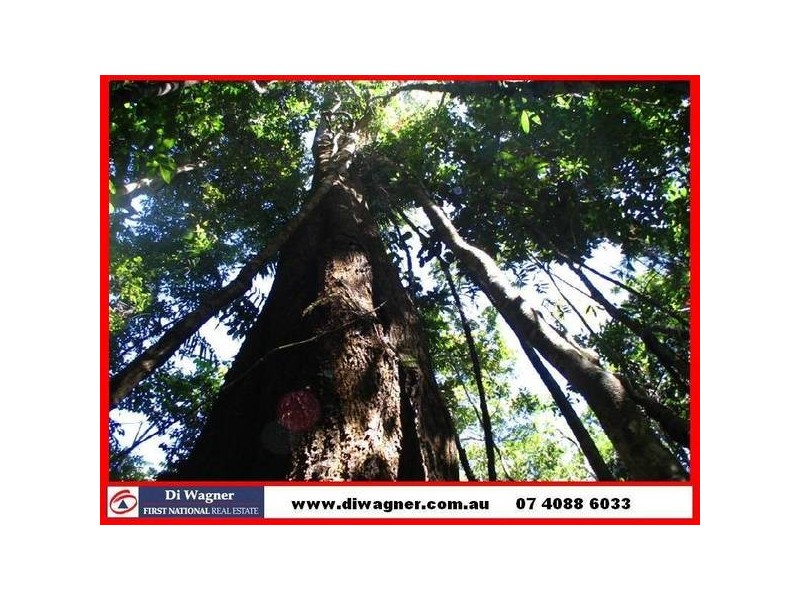 Mission Beach QLD 4852