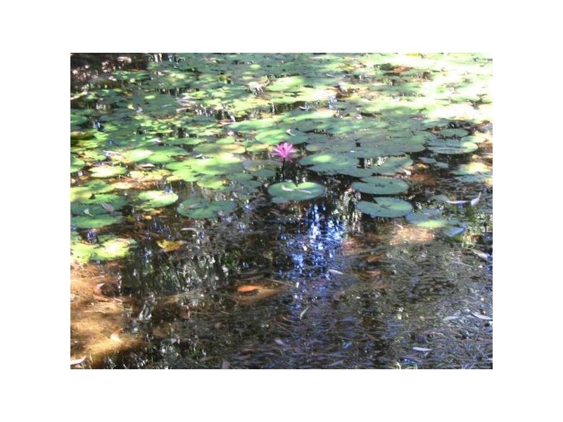 Mission Beach QLD 4852